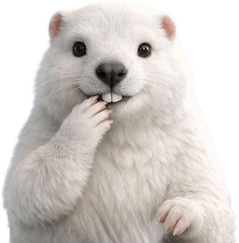 Maskot Bílý Marmot